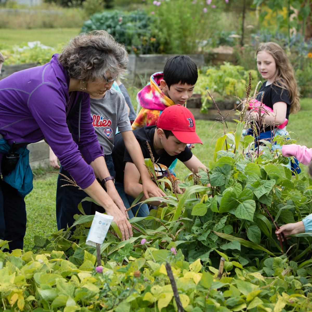 An educator and students explore a garden bed in Hardwick, Vermont.