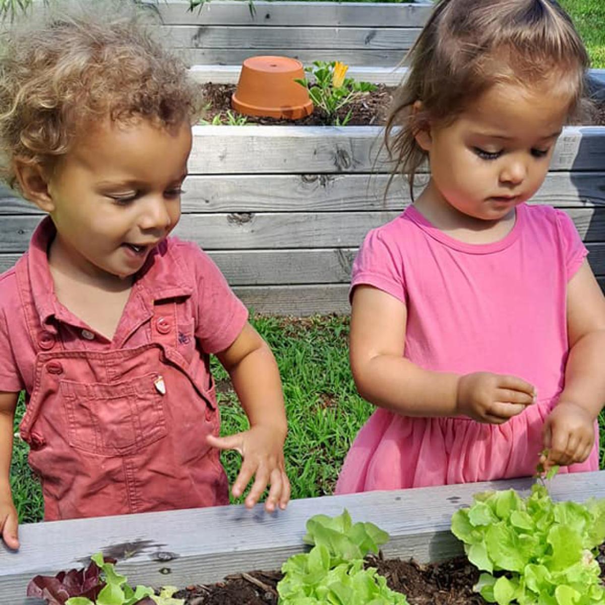 Two young children investigate a raised garden bed of newly planted lettuces at Milton Family Community Center.