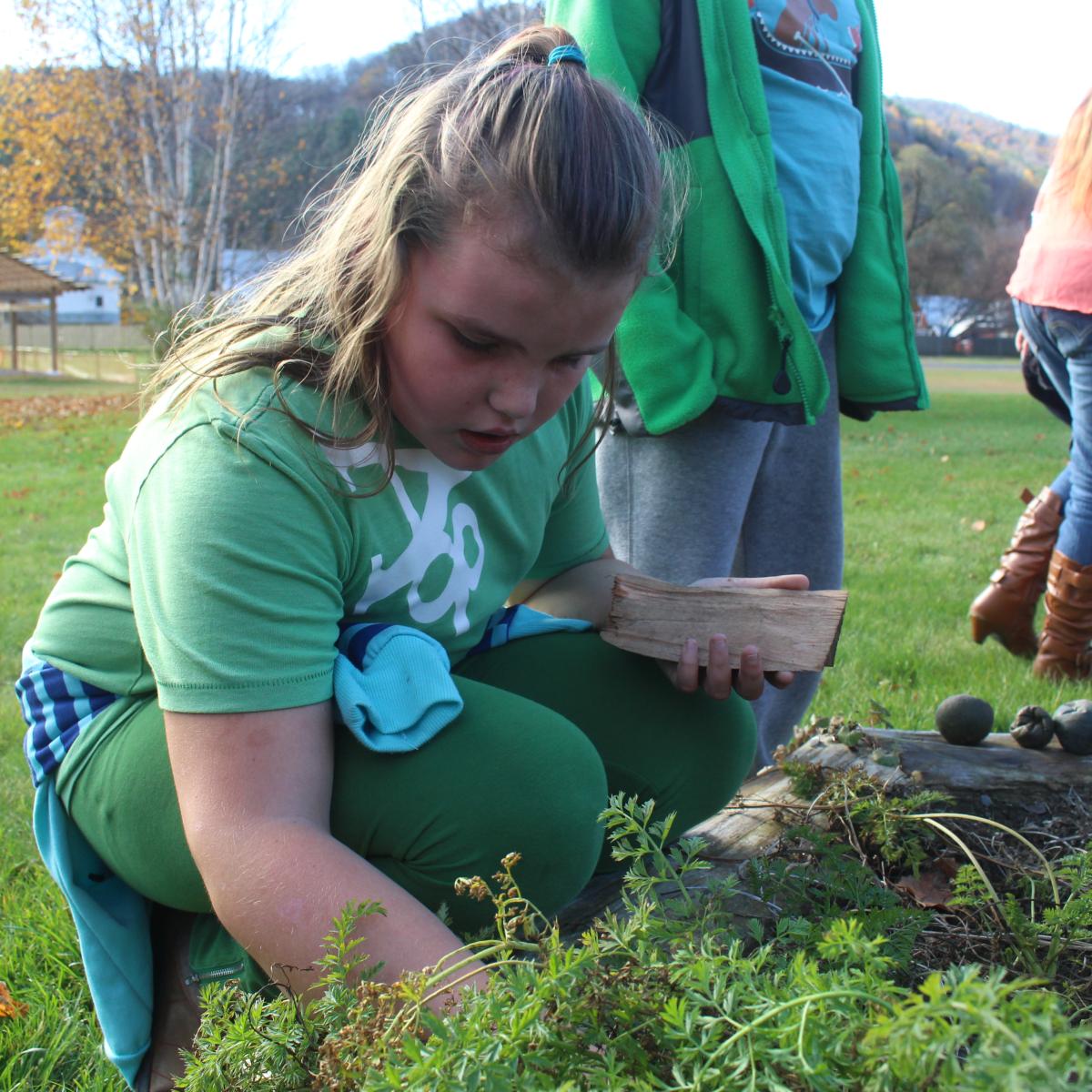 A Sharon Elementary School student harvests in the school gardens.