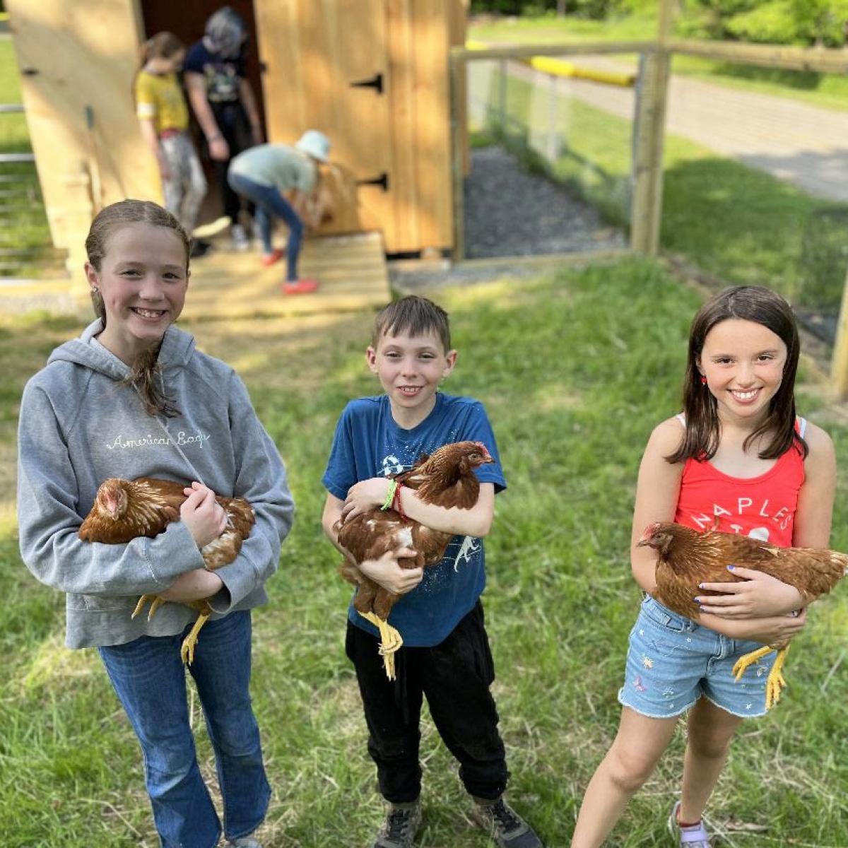 Three kids each hold a chicken
