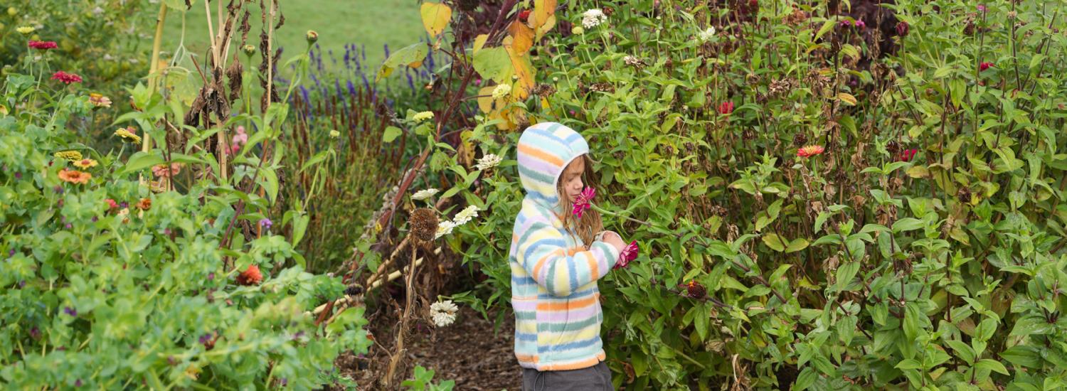 a child stands in a flower garden