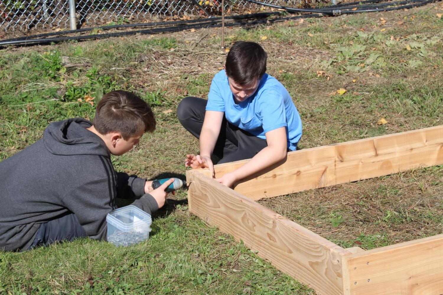 building raised beds 2019