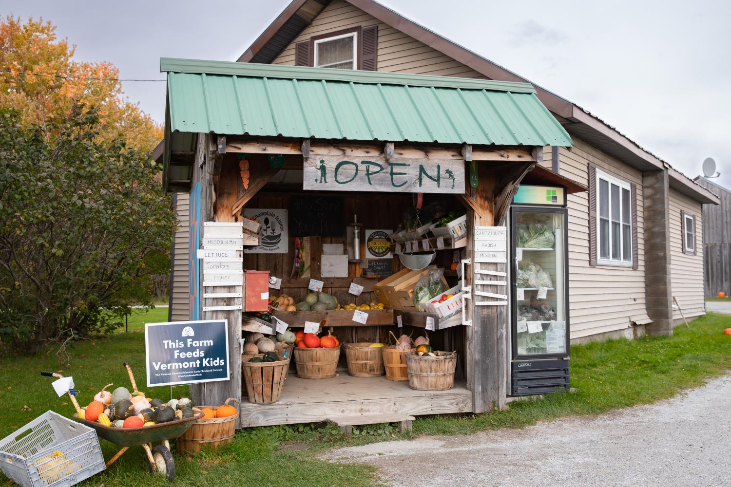 The Darby Farmstand in Alburgh, Vermont brimming with fall squash, greens, peppers, and more.