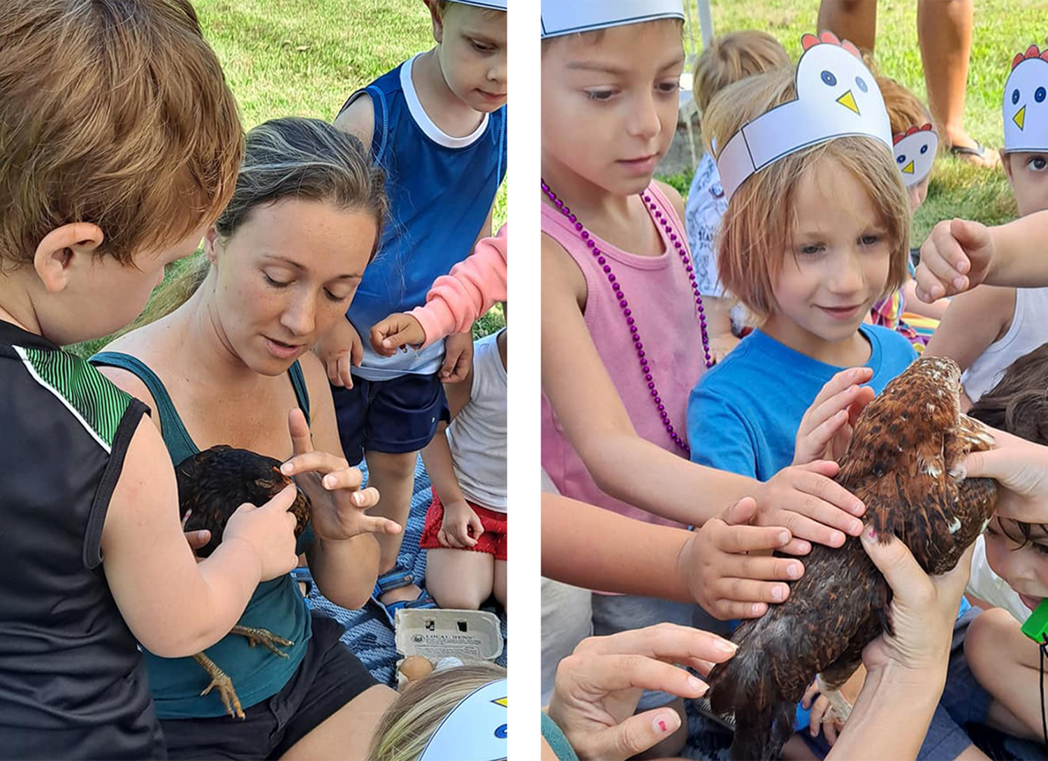 Candice Four Feathers Farm offers students a chance to meet a chicken up close.