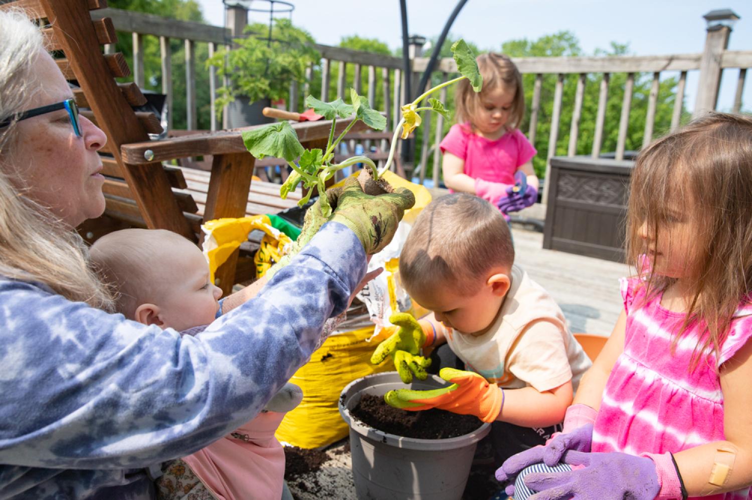 A woman plants a squash plant with a group of young children