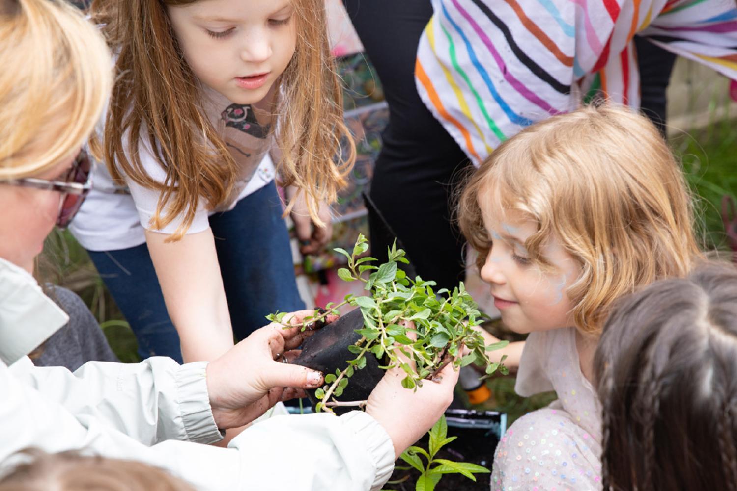 Early learners smell plants in a garden