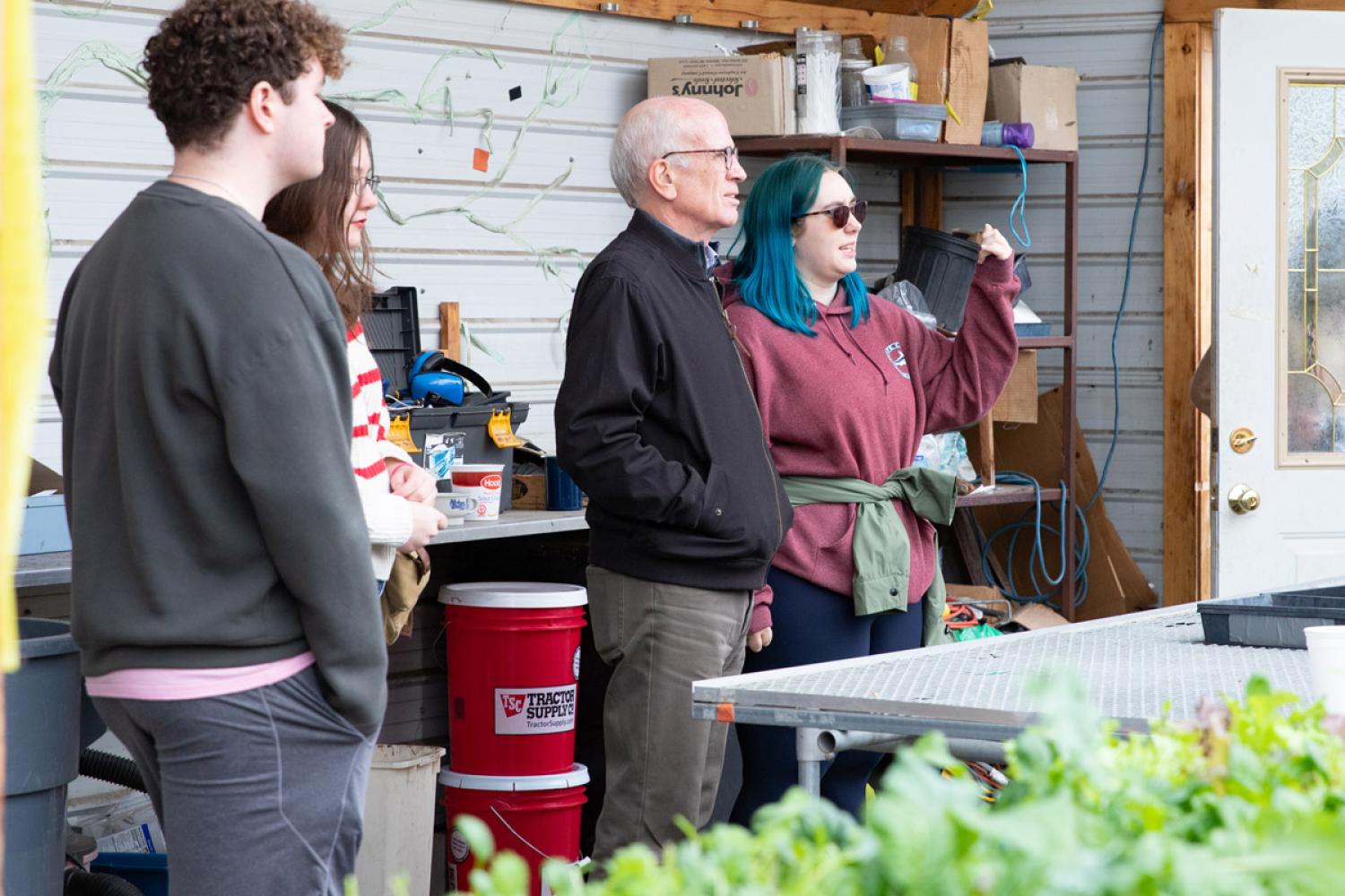 Students show Senator Welch the greenhouse were lettuces are being grown for the school cafeteria salad bar.