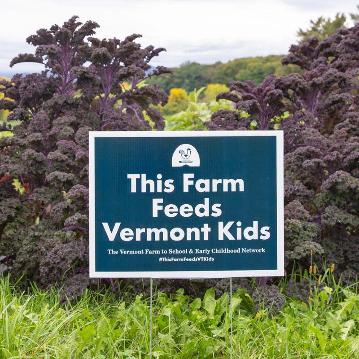  This Farm Feeds Vermont Kids Lawn Sign