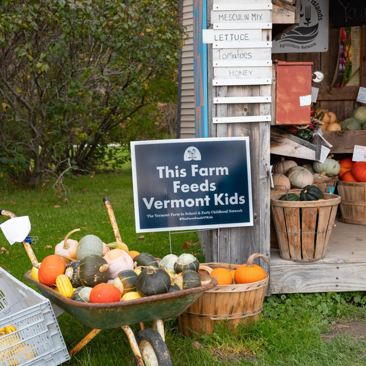 The Darby Farmstand in Alburgh, Vermont brimming with fall squash, greens, peppers, and more.