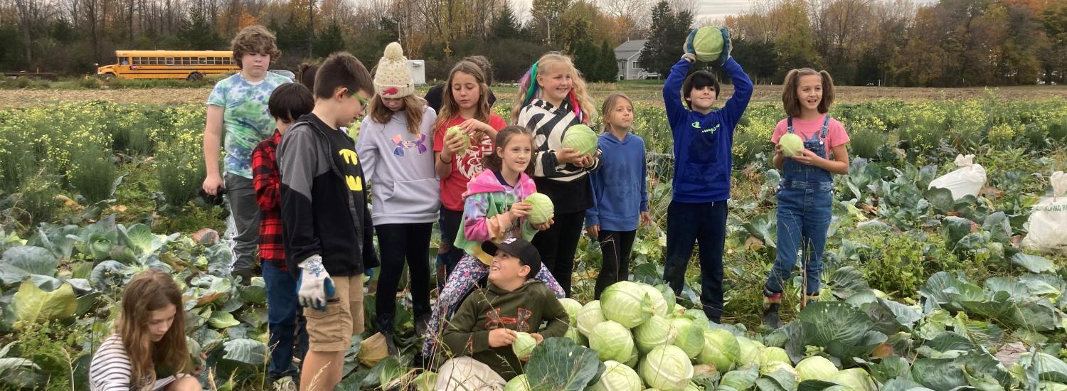 A group of children at a cabbage farm, some holding harvested cabbages, with a school bus in the background.